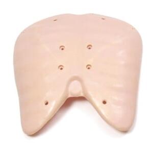 Laerdal Basic Resusci Anne Inner Part of Chest Cover